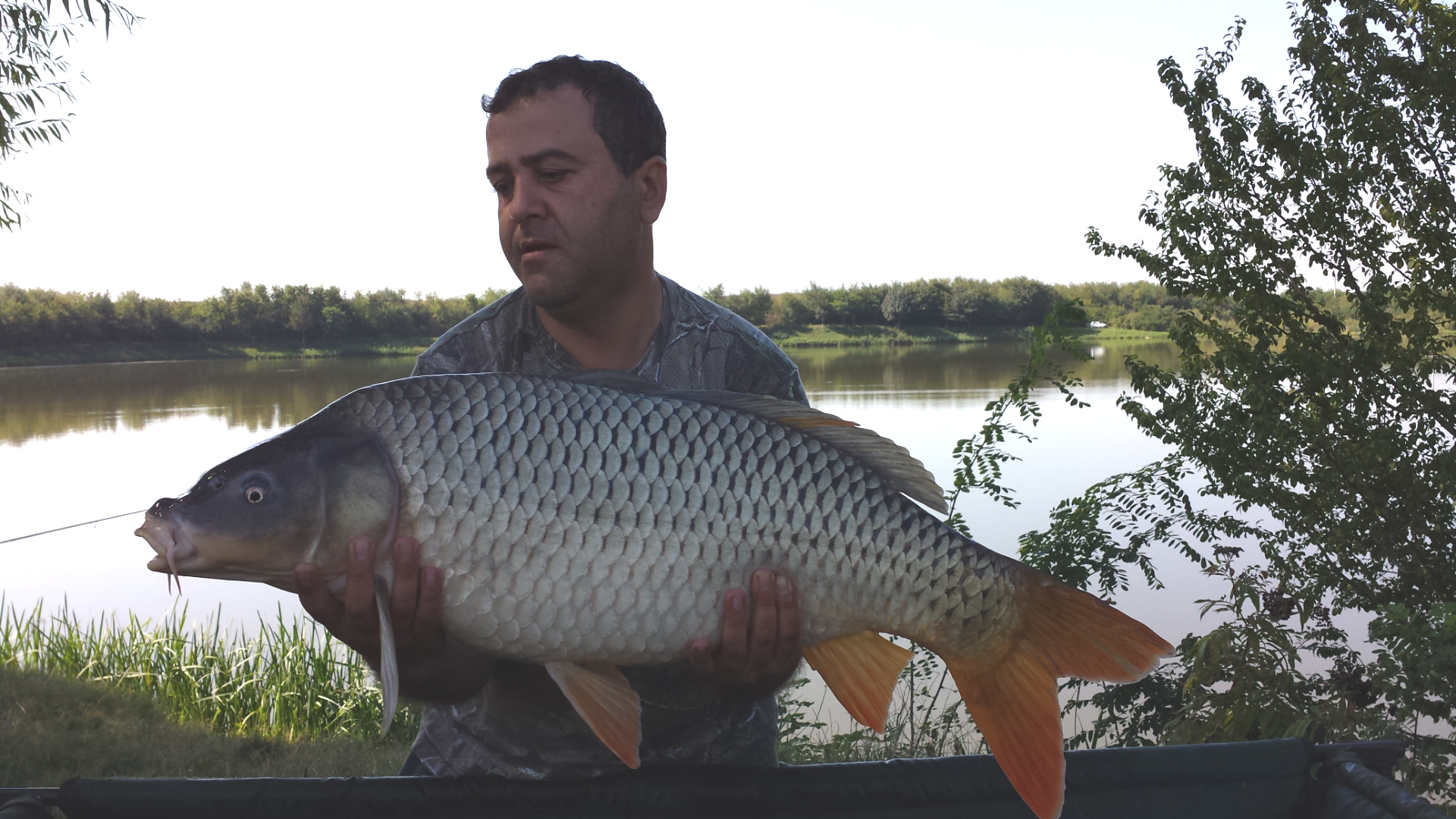 Peris 2013 - 2013-09-08-114901.png